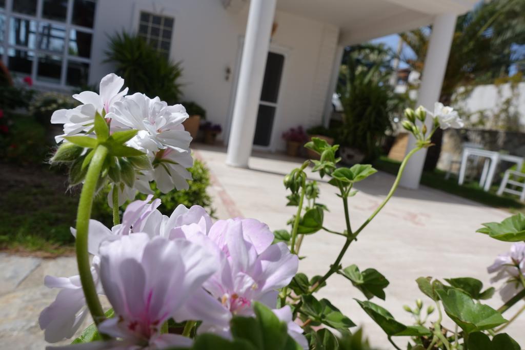 Limonlu Ev Ardic Alacati Exterior foto